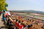 Tribuna G, zona 01-17 <br/> Circuit de Catalunya